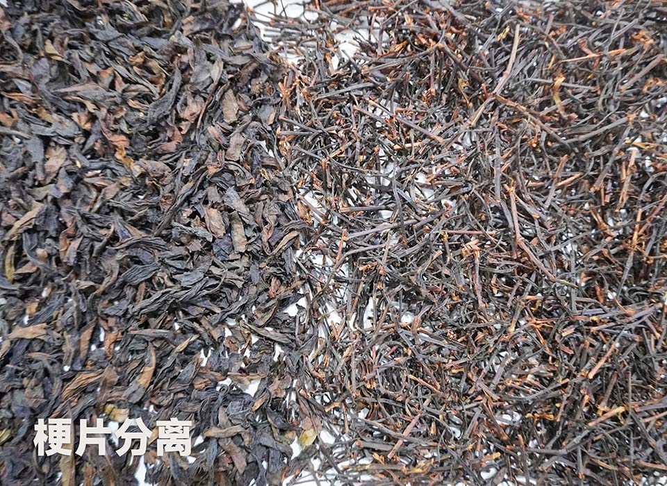 20241121113233_44731 尊龙凯时-人生就是搏中国官方网站