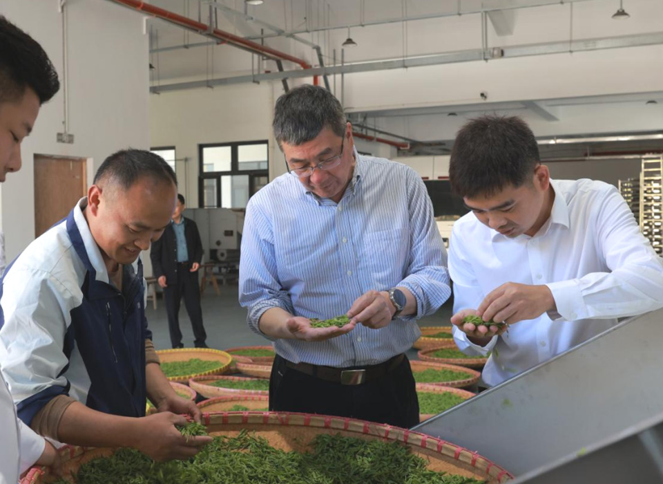 20250328194359_47938 尊龙凯时-人生就是搏中国官方网站