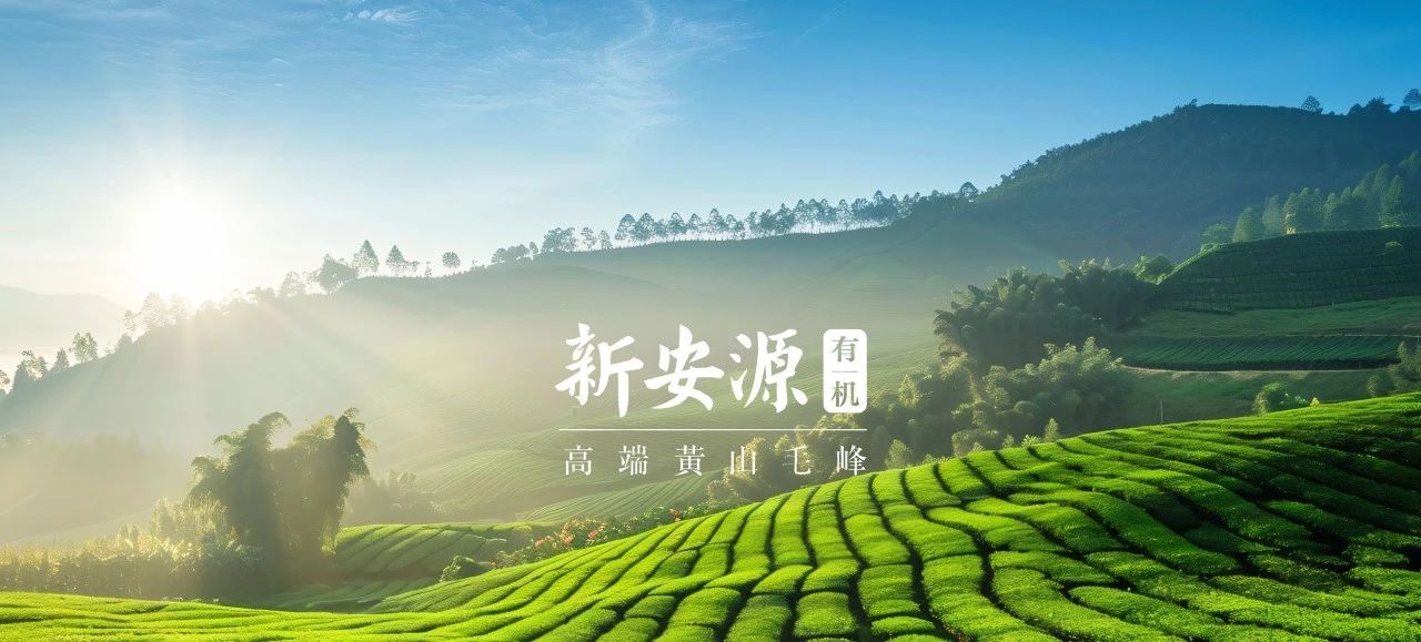 20250522111010_84820 尊龙凯时-人生就是搏中国官方网站